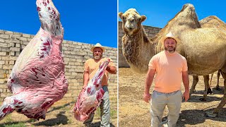 Cutting A Whole 700kg Camel The Biggest Dish in the World [upl. by Brause885]