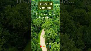 Jesus o Leão da Tribo de Judá [upl. by Arinaj742]