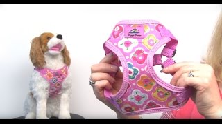 Wrap and Snap Choke Free Dog Harness  Maui Pink [upl. by Ahsiryt835]