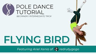 Pole Trick Tutorial Flying Bird BeginnerIntermediate Trick [upl. by Maya643]