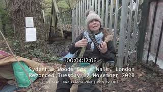 Sydenham Hill Woods Coxs Walk Save the Oaks campaign interview Raw Footage [upl. by Aiehtela841]