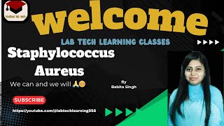 staphylococcus Aureus morphologyvirulence factor pathogenesisdiagnosisdetailsmltmicrobiology [upl. by Georgeanna]