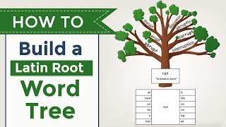 How to Teach Latin Roots with Word Trees All About Learning Press [upl. by Martinson]