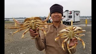 How to catch crab with a crab hawk  Oregon crabbing [upl. by Hercule897]