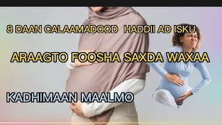 CALAAMADAHA LAGU GARTO FOOSHA INAAY SODHAWAATAY [upl. by Ahsauqram861]