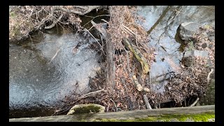 massive culvert unclogging log jam 12923 [upl. by Pinebrook217]