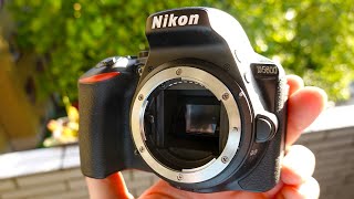 Nikon D5600 DSLR camera test  sample images  video footage in 2024 [upl. by Athalee]