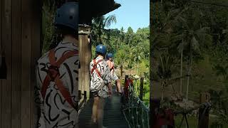 its flying fox  flyingfox ubud baliisland [upl. by Kiele]