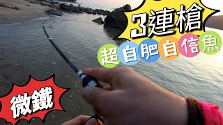 香港路亞 微鐵三連槍…開槍打瓜你 香港釣魚 路亞擬餌lurefishingtopwaterhkfishing放生休閒海釣根釣微物鐵板微鐵岸釣 [upl. by Annez]