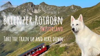 Worlds most beautiful train ride in Switzerland  Brienz Rothorn Bahn [upl. by Nosirrag]