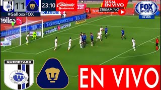 Querétaro Vs Pumas En Vivo 🔴Donde Ver Pumas Vs Querétaro En Vivo ✅Partido J13 Querétaro Vs Pumas [upl. by Elocon271]