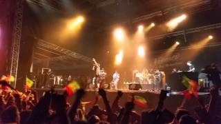 Festival Reggae Sun Ska 2014 Naaman skanking shoes [upl. by Otter]