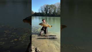 carpe fishing dji carpfishing djimini4pro carp fish nature foryou lake [upl. by Kenison]