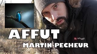 AFFÛT MARTINPÊCHEUR  Photographie animalière [upl. by Faustus91]