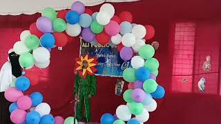 Theme Based Dressing Competition  Ali Public School Akola [upl. by Crisey]