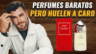 Perfumes de hombre baratos que huelen a caro  Perfumes clásicos por menos de 50 [upl. by Barney]