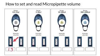 How do you read and set a micropipette [upl. by Kathryn322]