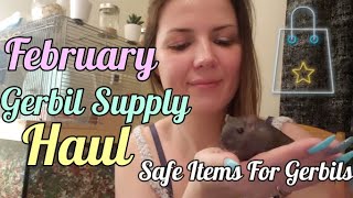 Gerbil Shopping  Safe Gerbil Items  New Full Cheeks PetSmart Items [upl. by Naget]