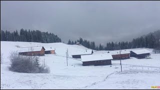 Neuschnee So winterlich zeigt sich das Bödele [upl. by Seaddon619]