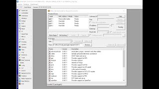 How to Netinstall in MikroTik Router [upl. by Rafiq]