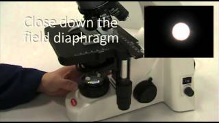 Setting up a compound microscope for Kohler illumination [upl. by Callery]