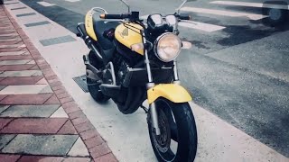 Honda hornet 250 best exhaust sound [upl. by Aicinod634]