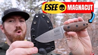 Will This Be The Best EDC Fixed Blade Of 2024 [upl. by Theressa]