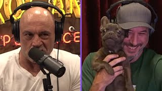 Joe Rogan BARKS at Young Jamies Dog [upl. by Aiuhsoj]