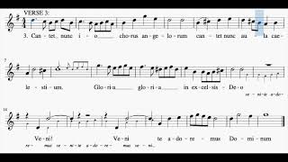 Adeste Fideles Descant practice [upl. by Stuart659]