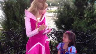 Meeting Princess Aurora at Walt Disney World Epcot Center [upl. by Lareneg197]