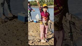 BREAM FISHING AUSTRALIA 🇦🇺 SOLID YELLOWFIN BREAM on bait fishing fish breamfishing bream [upl. by Devaj]