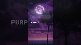 PURPLE✦ [upl. by Jacobba]