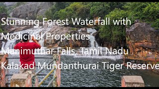 Gorgeous Manimuthar Falls during the monsoons  Kalakad Mundanthurai Tiger Reserve Tamil Nadu [upl. by Nessy495]