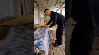 Rat farming in China ytshorts​ rat​ agriculture villagelife rat food shortyz [upl. by Ruella]