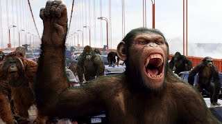 Apes vs Humans Bridge Battle Rise of the Planet of the Apes 2011 Movie Clip HD [upl. by Amri]