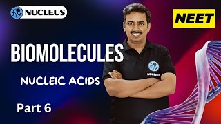 Nucleic acids II Biomolecules II Nucleus Neet academy [upl. by Polk]