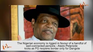 The Nigerian economy is rigged in favour of a handful of wellconnected persons  Atedo Peterside [upl. by Steinman169]