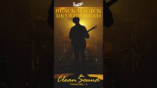 【SUPRO】BLACK MAGICK REVERB HEAD  CLEAN SOUND [upl. by Jacoba]