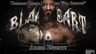 WWE Tommaso Ciampa Theme Arena Effect  quotNo One Will Survivequot [upl. by Neelrac]