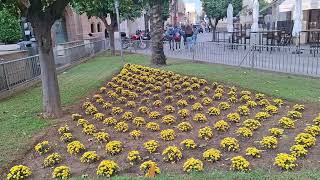 Un parterre con césped naranjos palmera datilera y flores de temporada [upl. by Kacie]