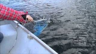 Fishing at Face Lake British Columbia [upl. by Carolus]