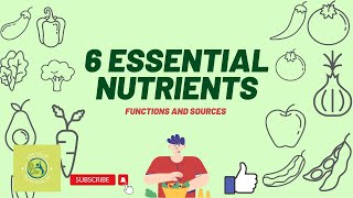 6 Essential Nutrients and Their Functions and Sources [upl. by Allsopp]