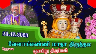 🔴 Live  24 December 2023  Vailankanni Shrine Basilica  Sunday Mass  Tamil Mass [upl. by Nunnery]