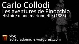 Les aventures de Pinocchio  Carlo Collodi  36 [upl. by Einra]