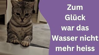 Katze fällt in Badewanne und zerkratzt mir das Bein [upl. by Asille]