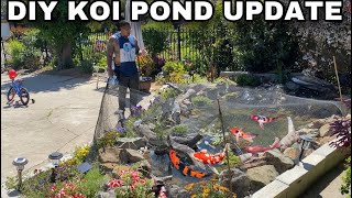 DIY KOI POND UPDATE [upl. by Assanav]