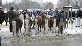 Ellwangen Kalter Markt 2017 [upl. by Naened]