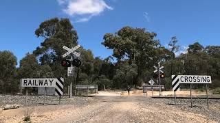 Finnegans Lane Railway Crossing Beaufort [upl. by Erek]