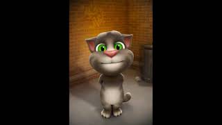 Tatti Meri Pyari Tatti शौचालय की रानी टट्टी  Talking Tom Version [upl. by Ellehsor]