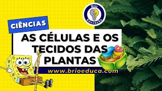 Ciências As células e os tecidos das plantas  Brio Educação [upl. by Ernaldus]